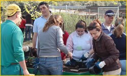 Want to help? Collaborate with the PwC Foundation