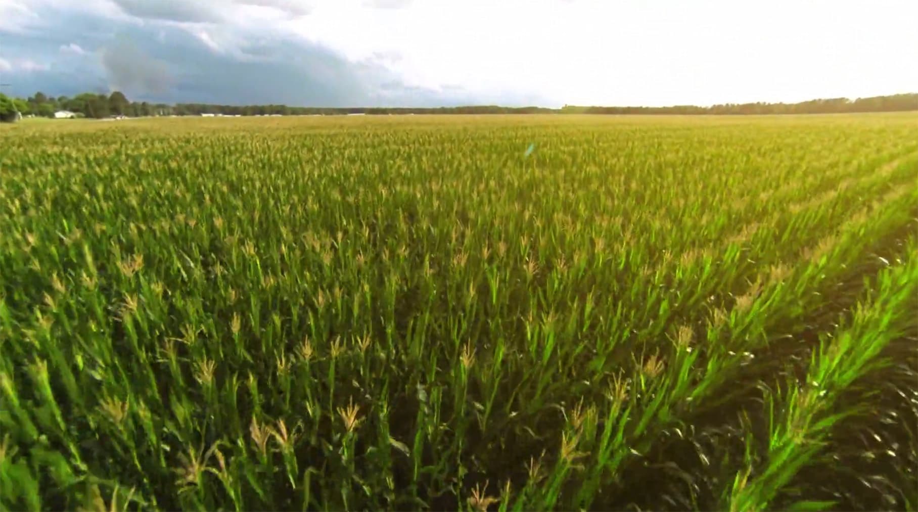 PERTE Agroalimentario