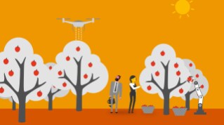 A régióban működő családi vállalkozások tulajdonosainak új generációja vezető szerepre készül