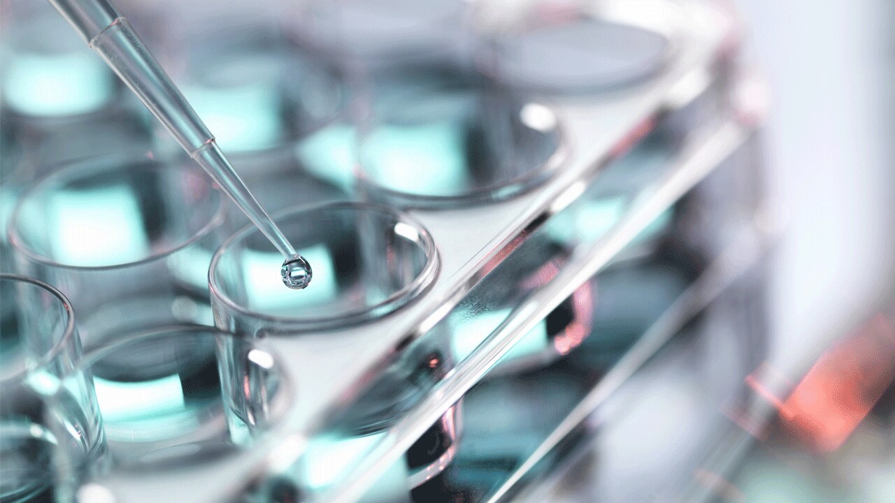 Planificación para un mundo de productos químicos sostenibles