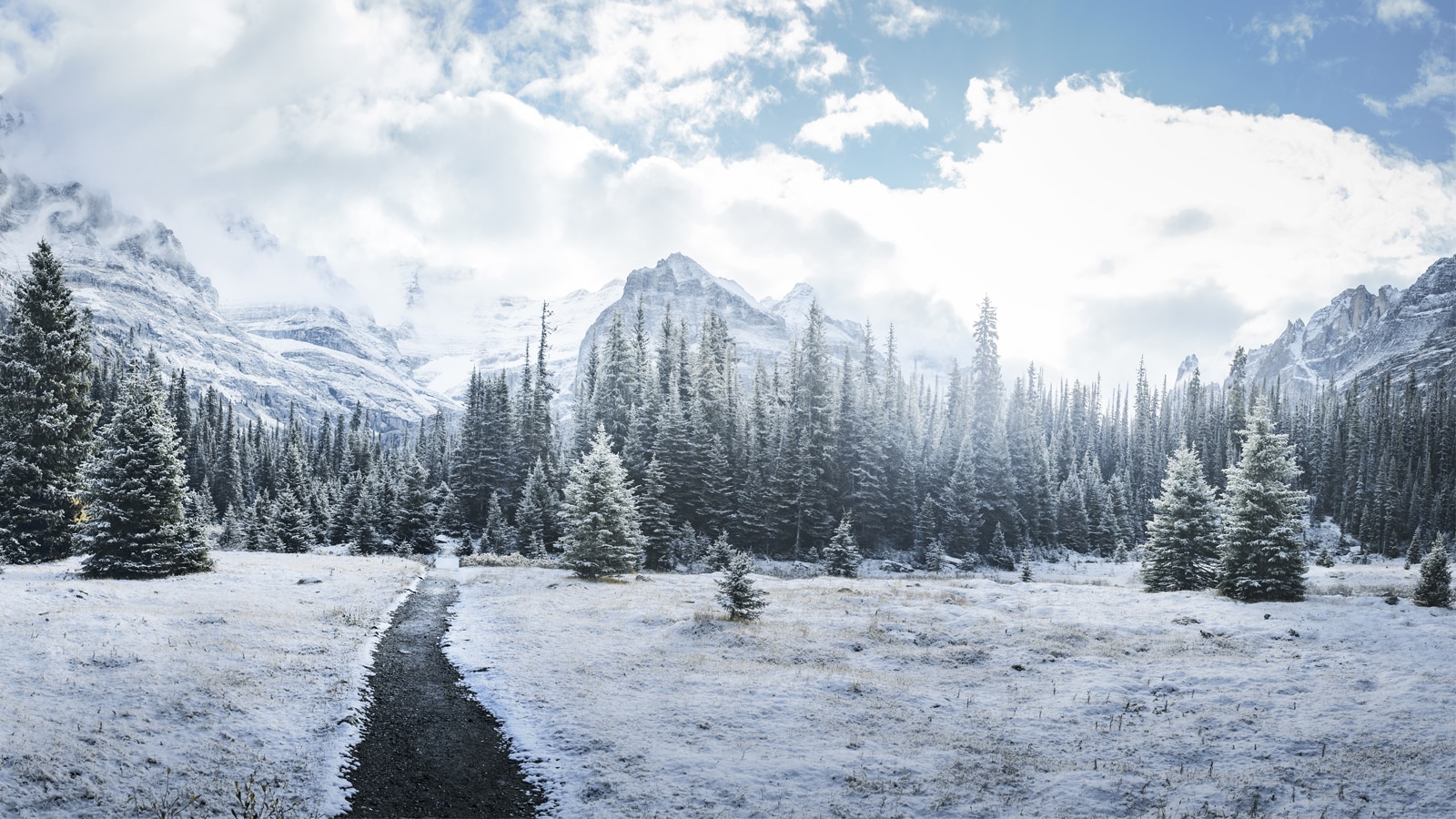 Temporada Invierno 2023-2024