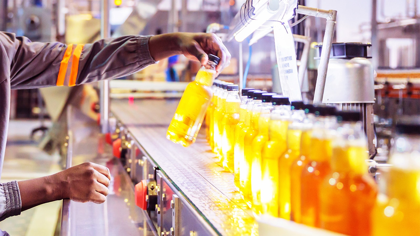 La industria alimentaria en la Región de Murcia: Impacto socioeconómico, tendencias y retos de futuro