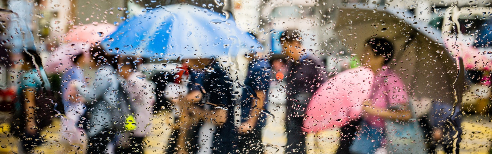 XXII Encuesta Mundial de CEOs